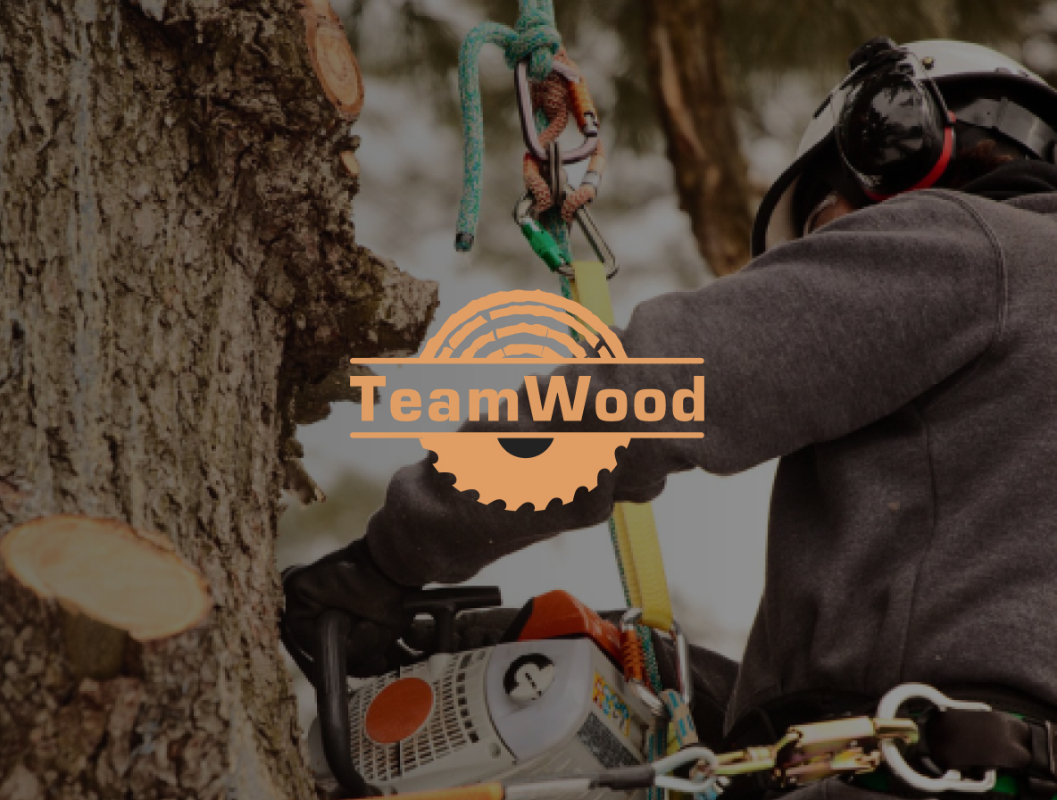 Изображение проекта: TeamWood